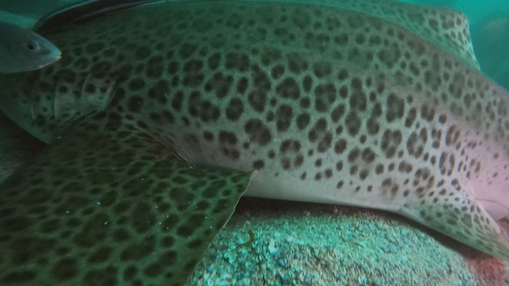 7b71f9dd-4711-4f19-91dc-4370a5770553