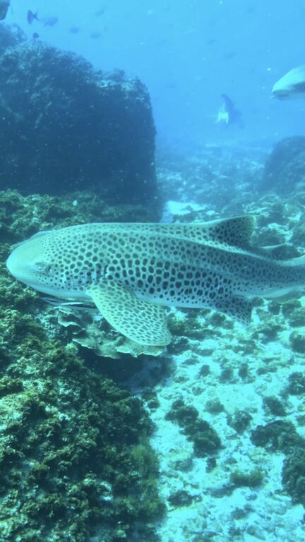 8d183822-cca5-4846-af8f-246e112f0016