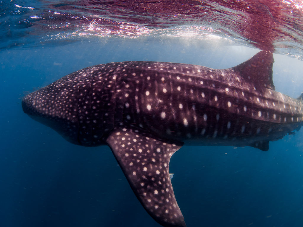 588c2de0-6e70-4247-8b4b-d0066133e6ed