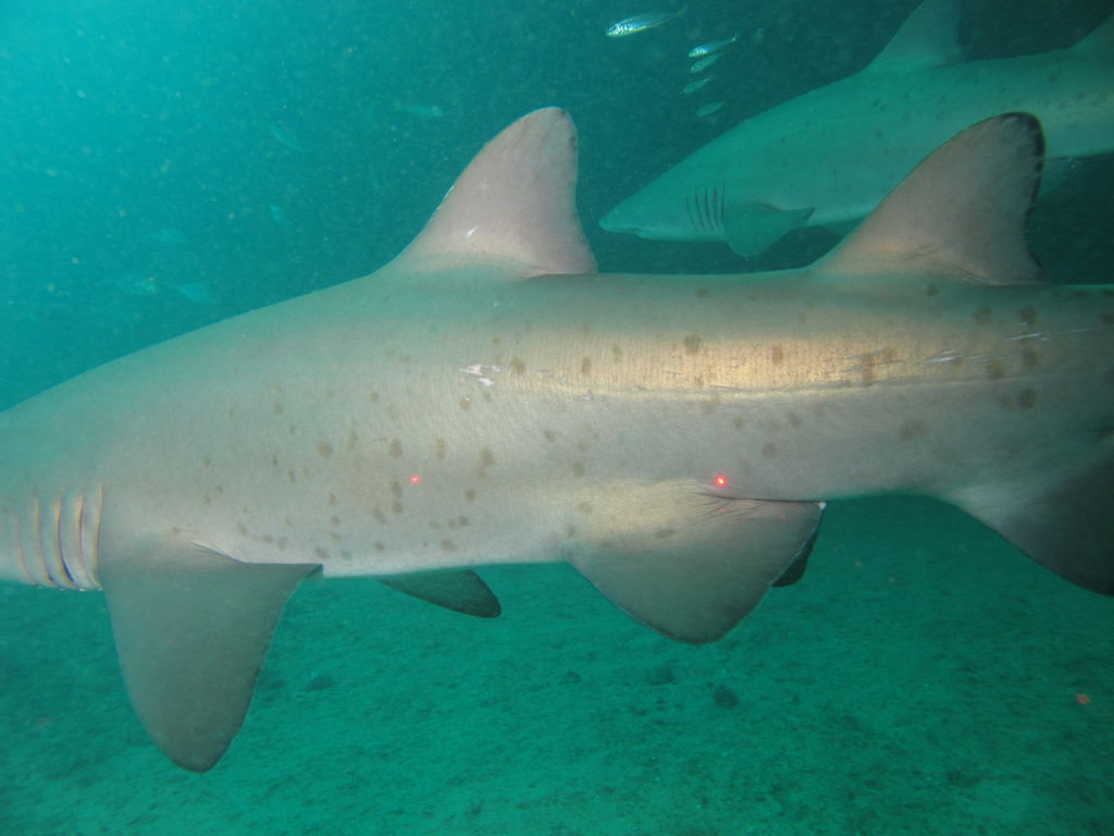 439ac240-00bc-421e-8ebe-27a7f5a7d845