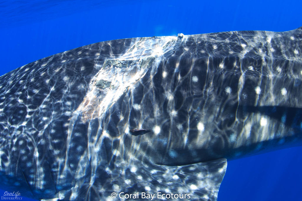 b63dfdbe-597d-4cf6-a1c8-48ecb9e90789