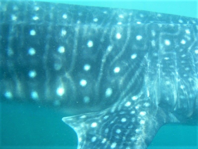 93954211-2564-4eeb-bd01-0b8ca98998d1