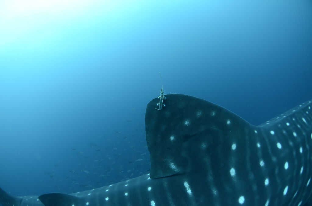 f14cf7b7-ba20-4da3-aec9-fa3181136eb4