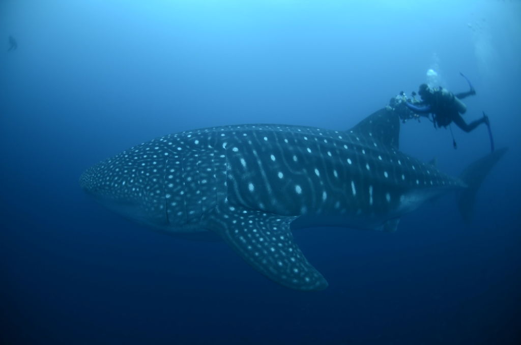 f14cf7b7-ba20-4da3-aec9-fa3181136eb4