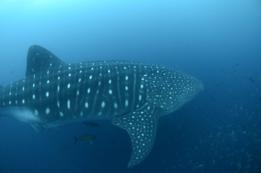 f14cf7b7-ba20-4da3-aec9-fa3181136eb4