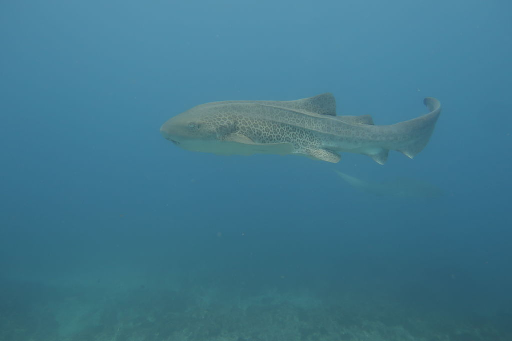 63a2f205-8804-4fcd-a2b2-41aa04b8f245