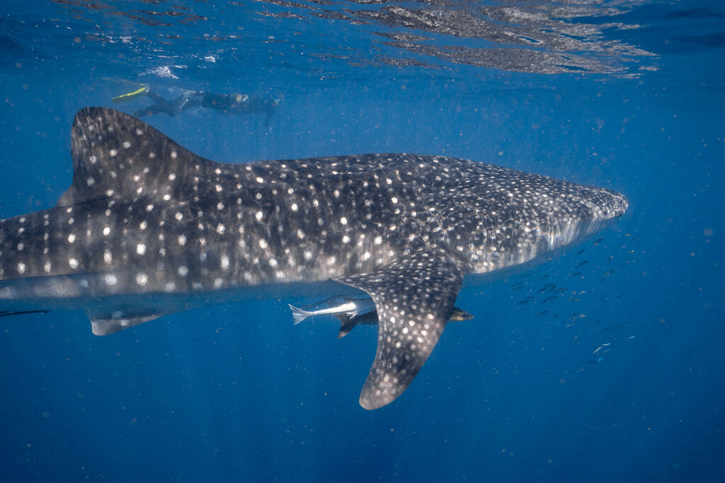 3aacee64-e84f-4e36-919e-f463abc9eaa0