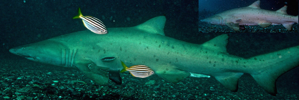 b85884e5-5993-41d6-b0d5-9ae53ad41120