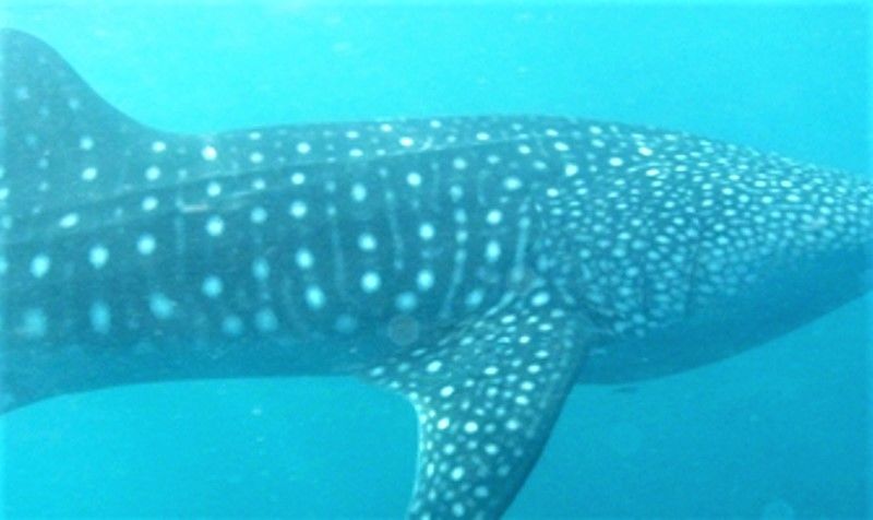 50f22b07-b668-455d-ac57-51578ae51ce7