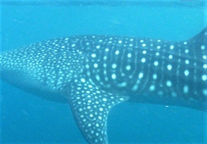 50f22b07-b668-455d-ac57-51578ae51ce7