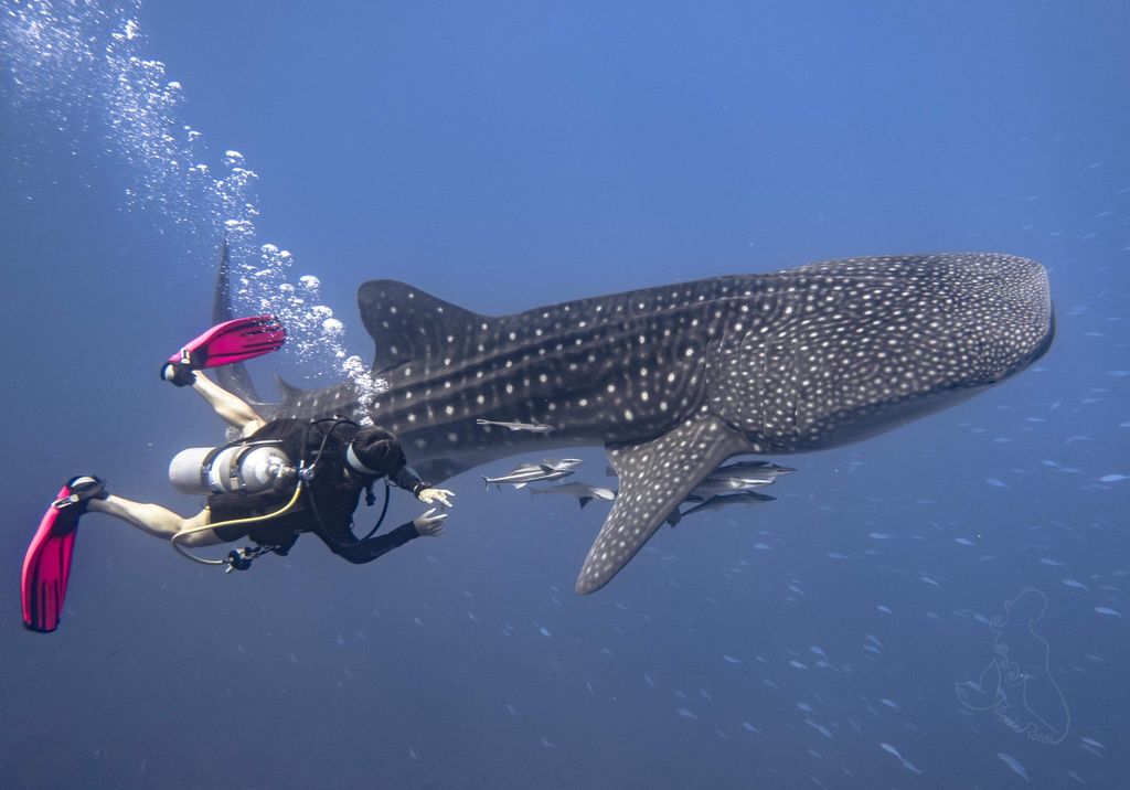 88838124-d879-4512-b61a-c29bfaf57b17