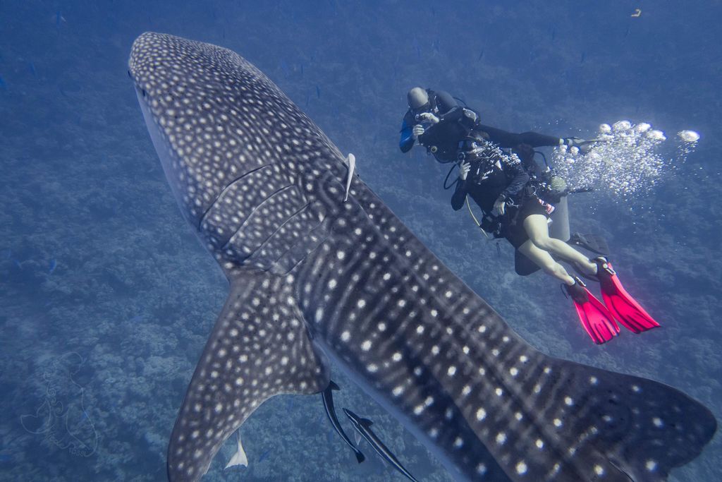 88838124-d879-4512-b61a-c29bfaf57b17