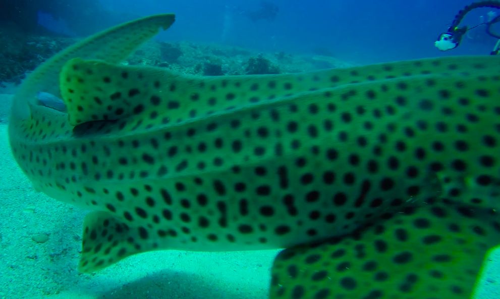 51718d88-6aff-442a-807b-3b7b98f4d81f