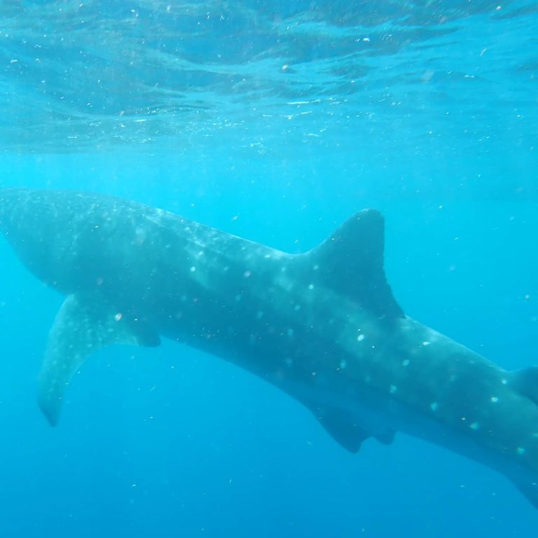 eb317d79-0ba9-45d7-801c-5d0c3c74e3a4