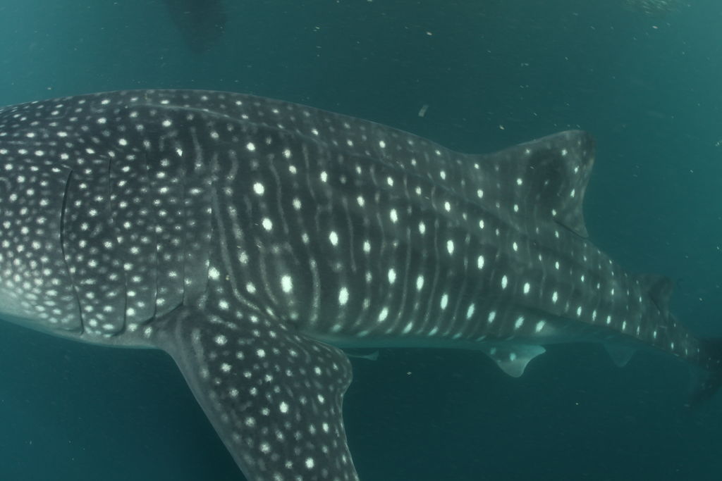 3f7d895e-3dee-4477-badc-562aa2870c28