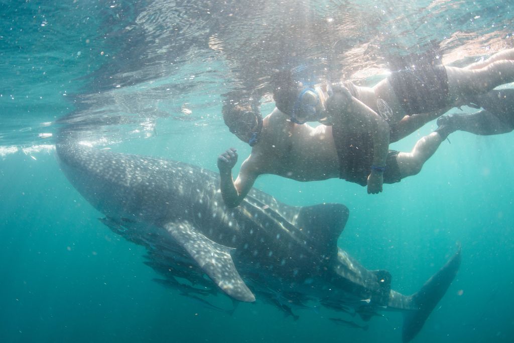 64b8926e-7518-4993-918b-d1bdf67e5ede