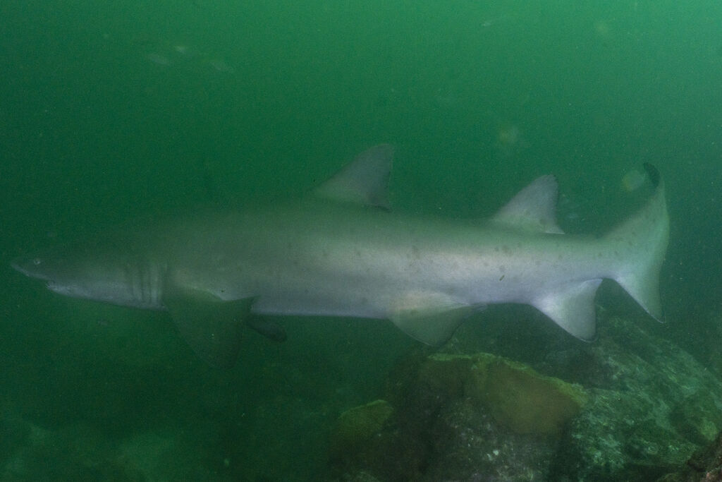 6bb48e3e-df69-429c-b41c-0d8277729d98