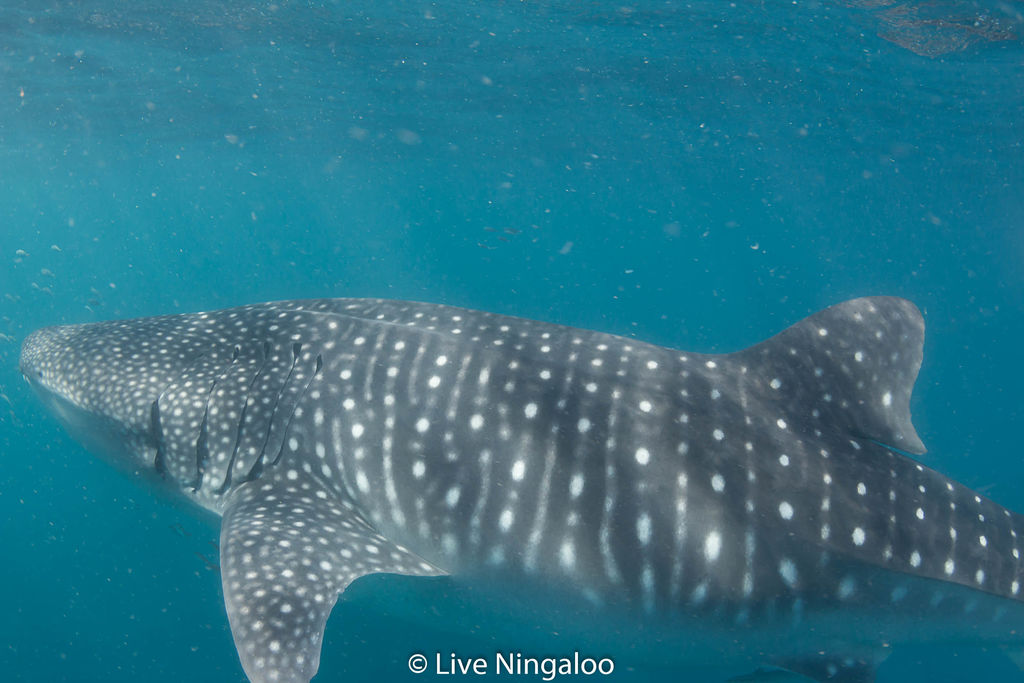 a39191f2-3197-4d78-a82f-eea00979f87f