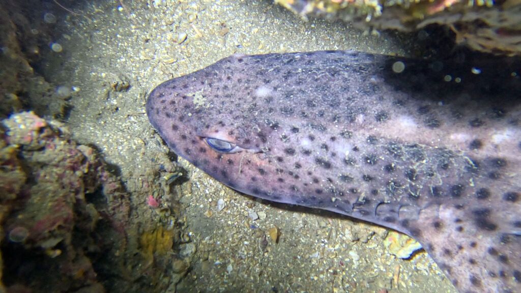 8c54c7fb-a162-4a57-9763-b70330376d9b