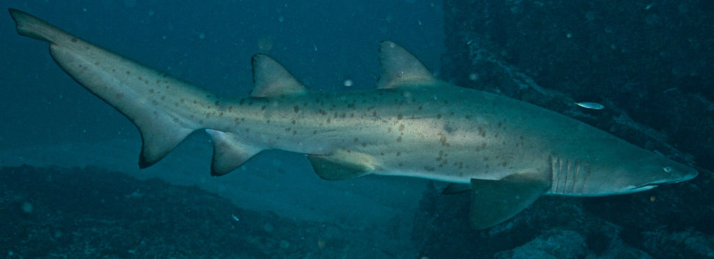 24fbf5b5-8dd7-4c2d-b708-b6a5ee829582