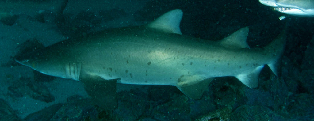 1f89151e-240c-454f-a365-2c555d093639