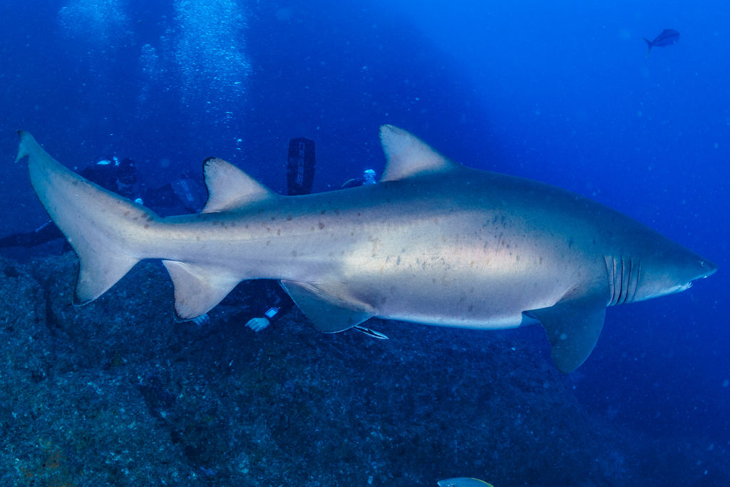 da730efc-1416-4573-b5cf-85b594ef877a