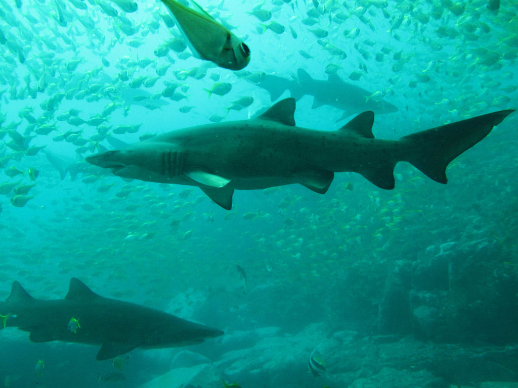 a887188d-eeeb-453a-8d63-dac2d134bdc2