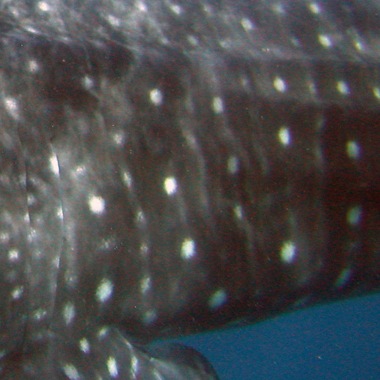 d526c2c6-a2be-44d0-afef-df4f7f3bd259