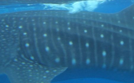 0ada49e4-35b5-4614-a50b-6c6925c1ae5b