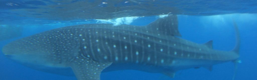 0ada49e4-35b5-4614-a50b-6c6925c1ae5b