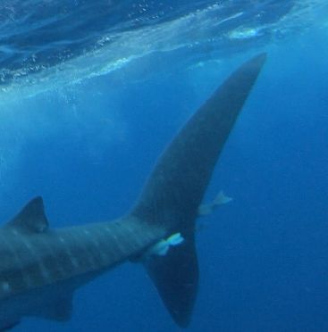 0ada49e4-35b5-4614-a50b-6c6925c1ae5b