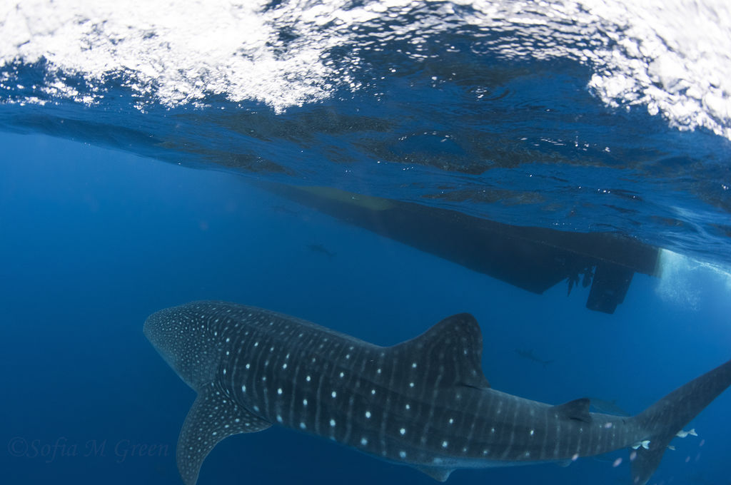 0ada49e4-35b5-4614-a50b-6c6925c1ae5b