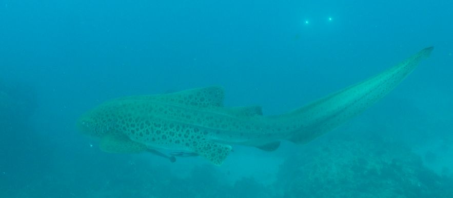 7ae45c62-645a-461a-abd8-f81b61ccab6d