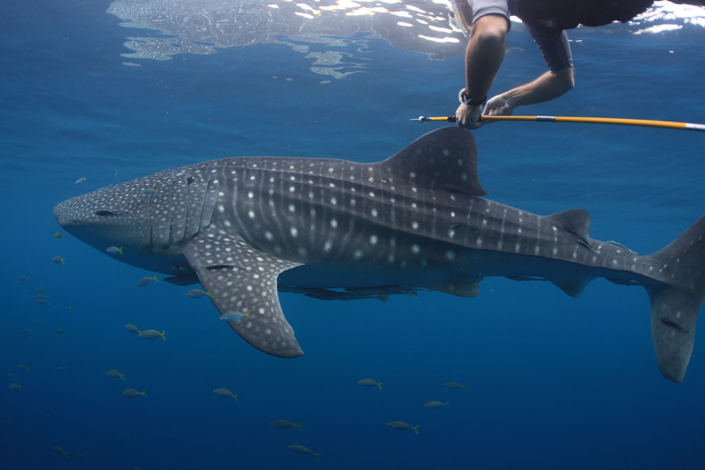 821d7b4a-7075-42b4-8caa-f392e4468b25