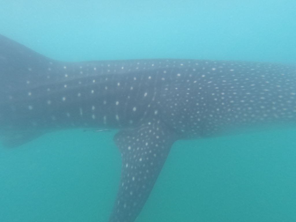 adba08f3-9e2d-4bf8-8339-86c5c805df5d