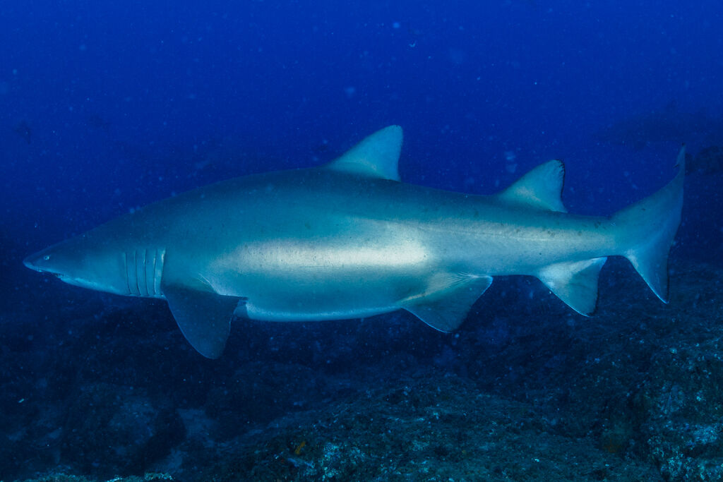 ab0f6930-fd8a-4bad-9959-130c11825e4b