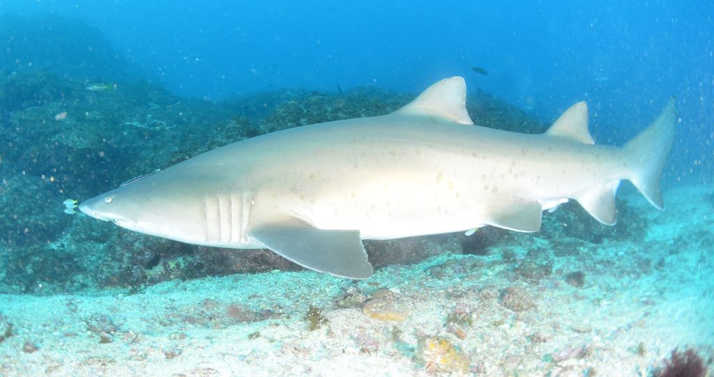 bc8d3d75-7841-46f4-b852-4f4fd0986b3c