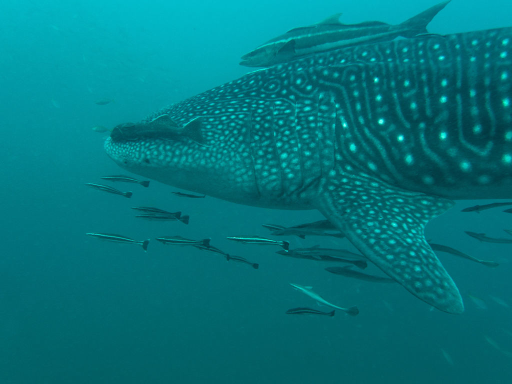 b3d3cb2a-f29a-42e2-af00-b6e9fbc3be5d