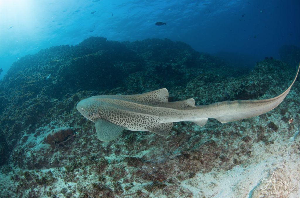 6d5ac39d-6179-4ebf-8fdb-00f763793a2f