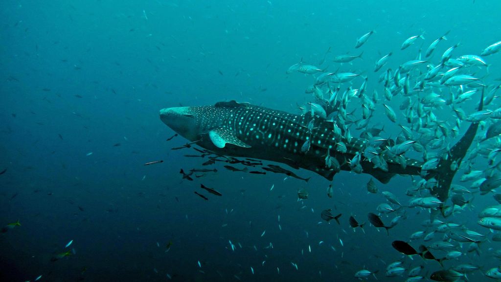 044c1fb0-ef49-4780-8f81-23db39115873