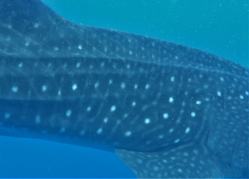 41c525fd-476e-406e-92e3-ba2611511133