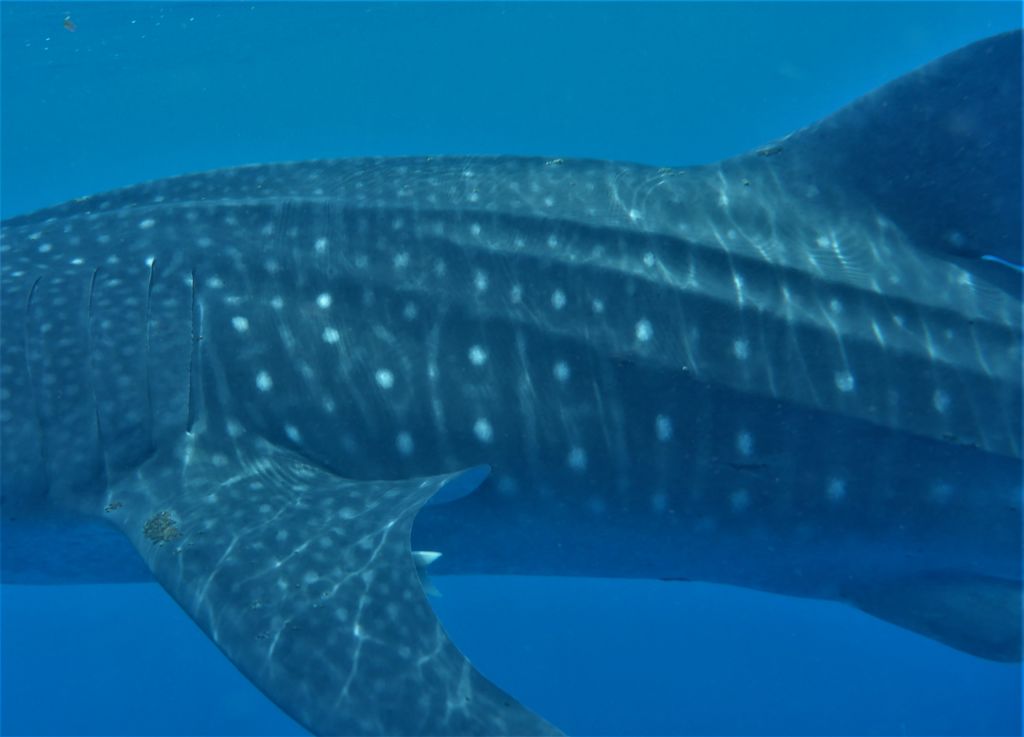 41c525fd-476e-406e-92e3-ba2611511133