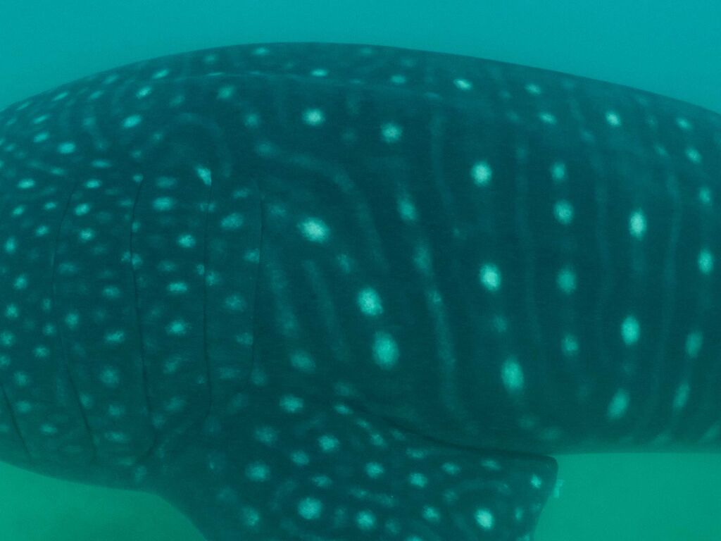 feb02b9d-399b-402b-a8a9-897de41f6e2d