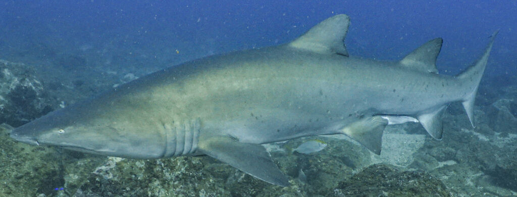 e082b8f3-2b54-497a-aaf9-874f0c4956e7