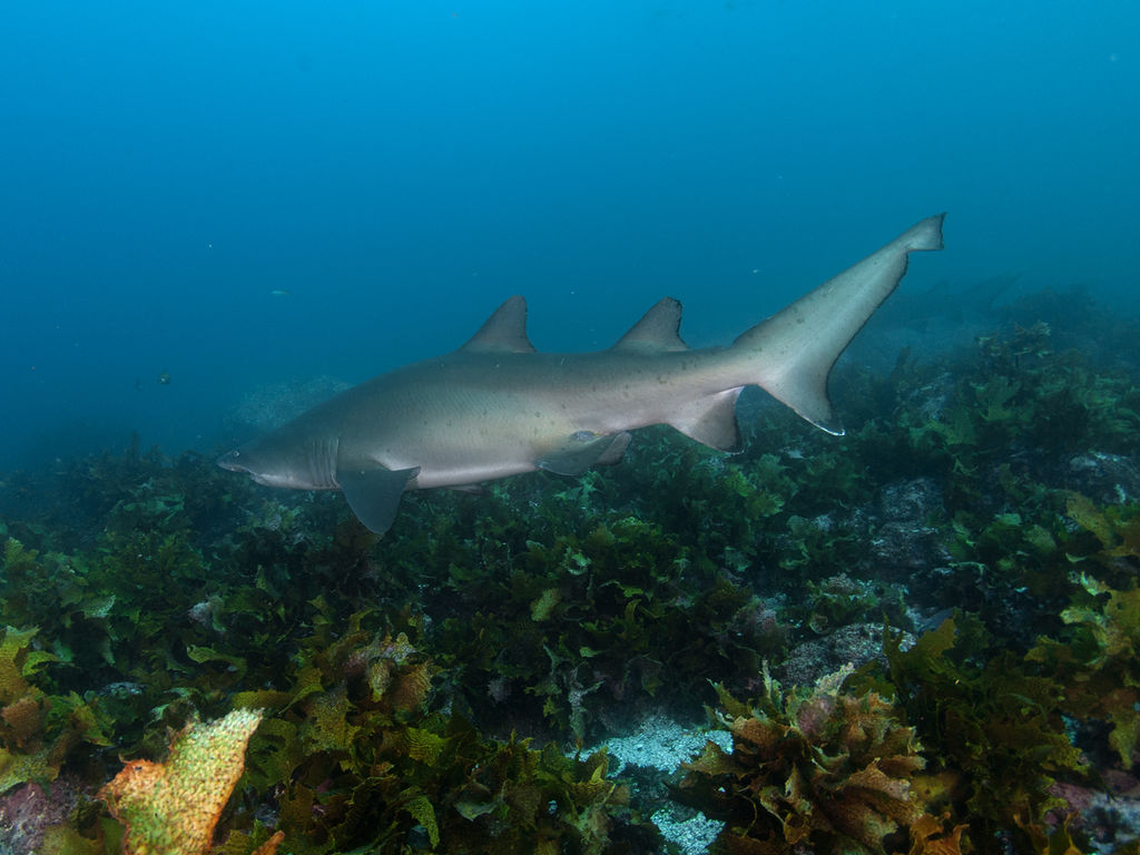 885f178d-1ece-4462-be71-d052b40b7118