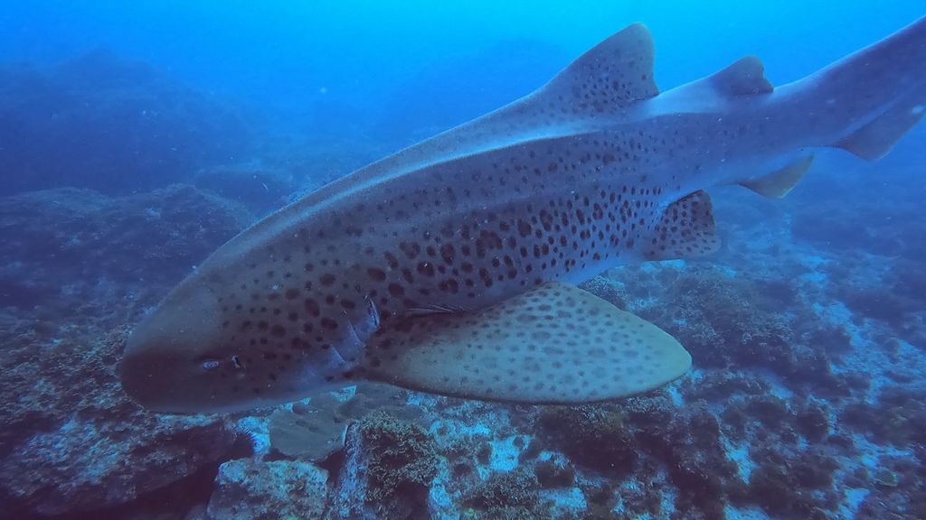 d9cb1ec6-7885-427b-a29c-3c6b77dc72b7