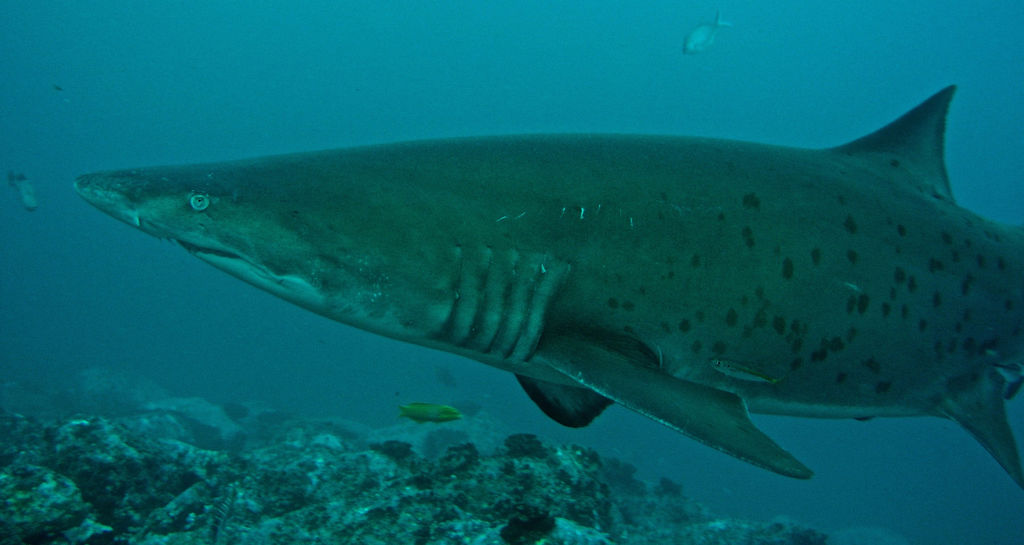 a3de5eb9-3184-4aa5-b2c2-c5735336e9b4