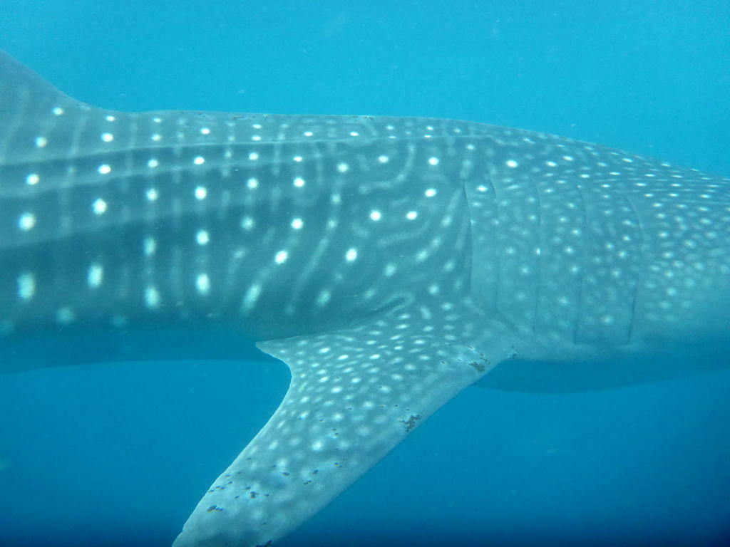 96f06f32-87e9-4c08-b447-667a4069ea49