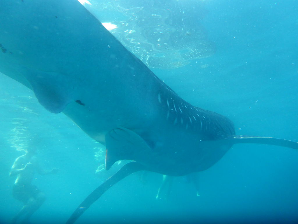 96f06f32-87e9-4c08-b447-667a4069ea49