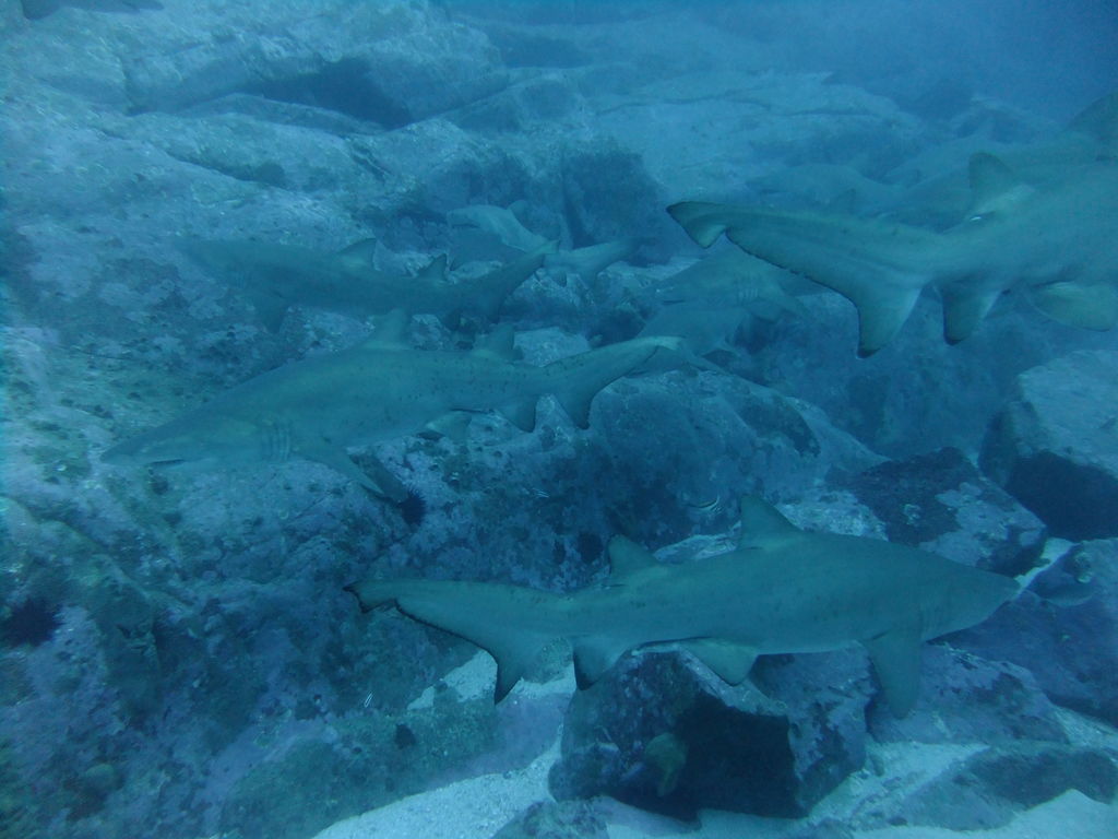 58610cb0-111d-4678-843d-ab4e928e2577